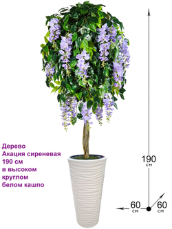 Искусственное дерево Акация сиреневая 190 см в высоком круглом белом кашпо