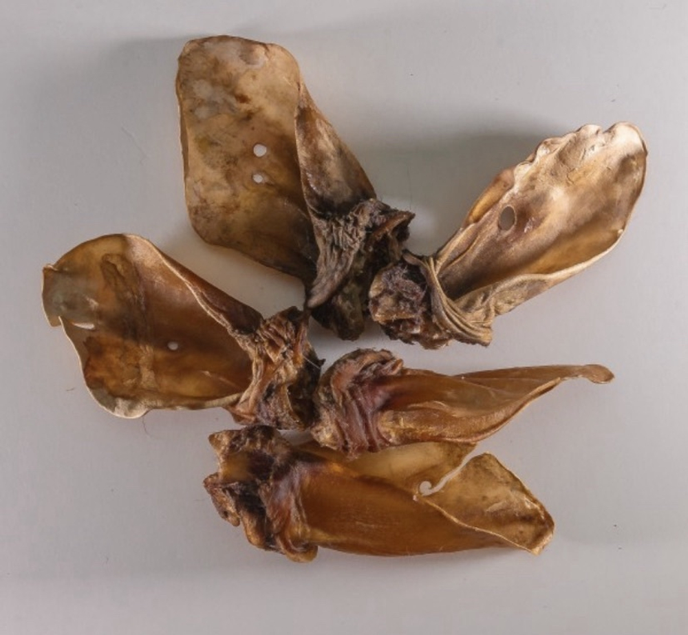 Уши говяжьи очищенные (сушеное лакомство) (цена за 100гр)