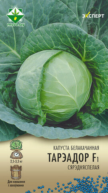 Капуста б/к "Тореадор F1" 12шт, Нидерланды.