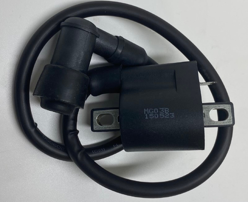 Катушка зажигания Двигатель 169MM CB250