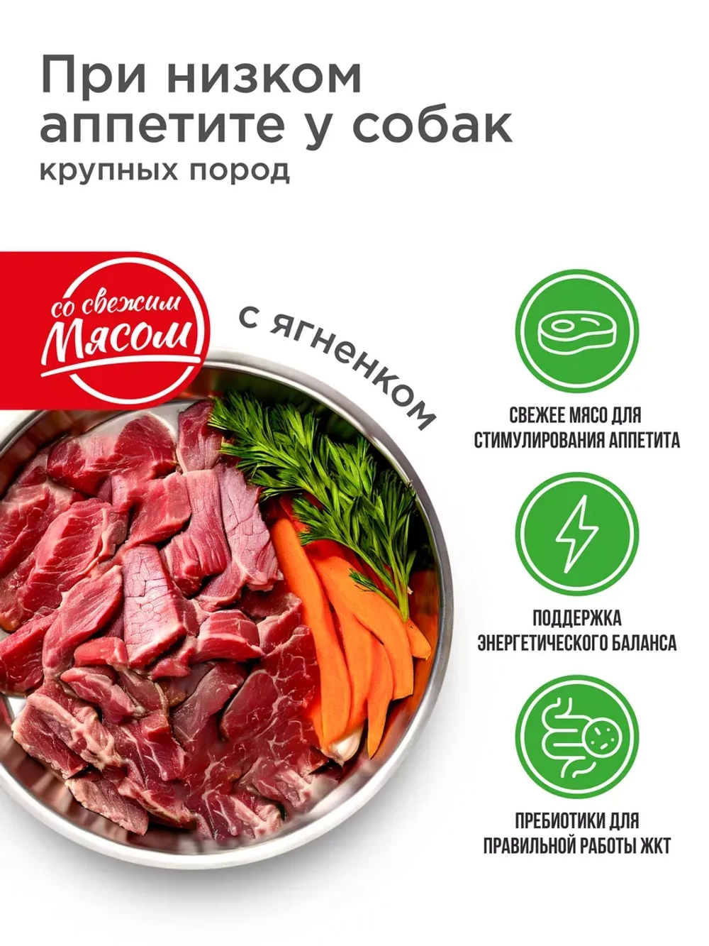 Корм для крупных собак с низким аппетитом, с ягненком, 12 кг