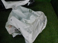 DSCN7100.jpg