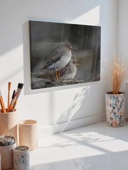 Картина на стену 40 X 50 Птицы