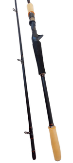 Спиннинг штекерный Mistral Kaida тест 20-80 гр длина 250 см