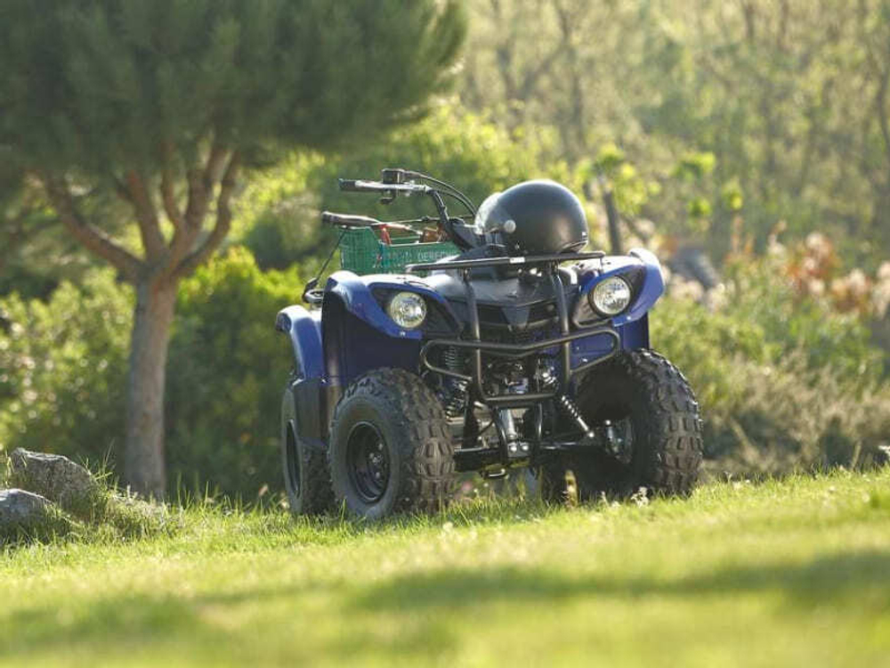 Квадроцикл GRIZZLY 125