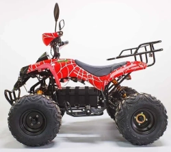 Электроквадроцикл Green Camel Атакама T500 (60V 1500W R8 Дифференциал)