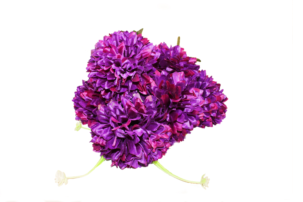 Букет Хризантем шар с листом