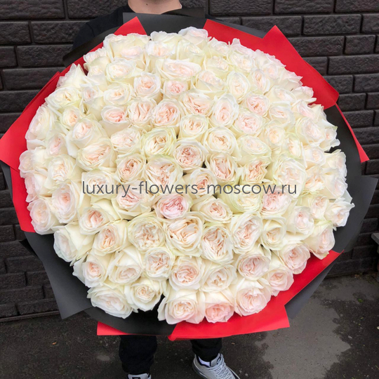 101 Пионовидная роза с запахом белая