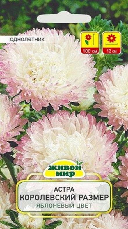 Астра "ЖМ. Kopoлeвcкий paзмep яблoнeвый цвeт" 0,3г., Польша.