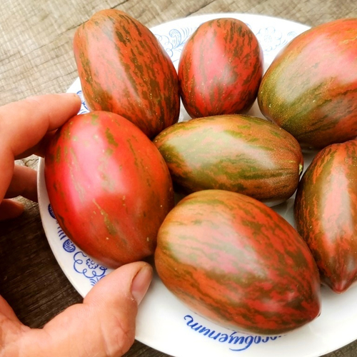 Помидоры Сластёна - Sweet Tooth Tomato