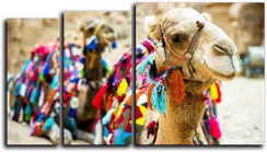 Модульная картина "Горбатые великаны"