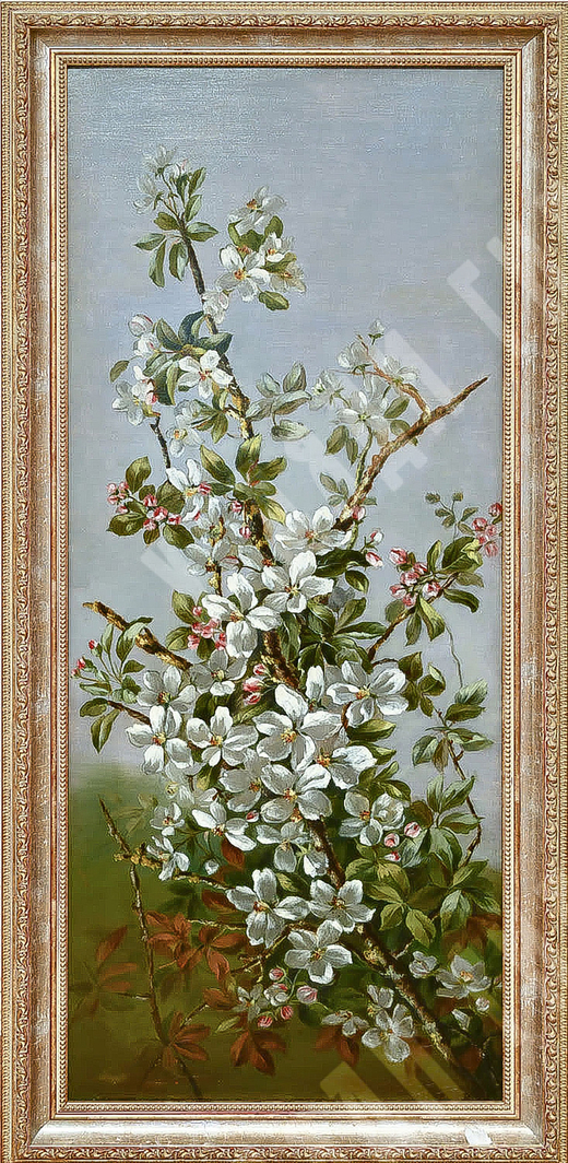 Н/х. Ветвь цветущей яблони. Холст, масло.