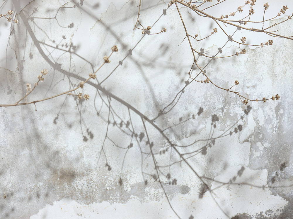 Дизайнерские обои Wall Street Vetve-22