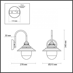 Уличный настенный светильник Odeon Light 4836/1W
