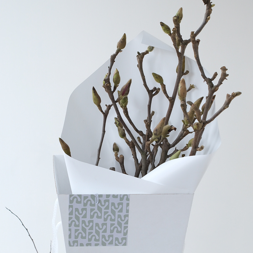 Ветки Магнолии