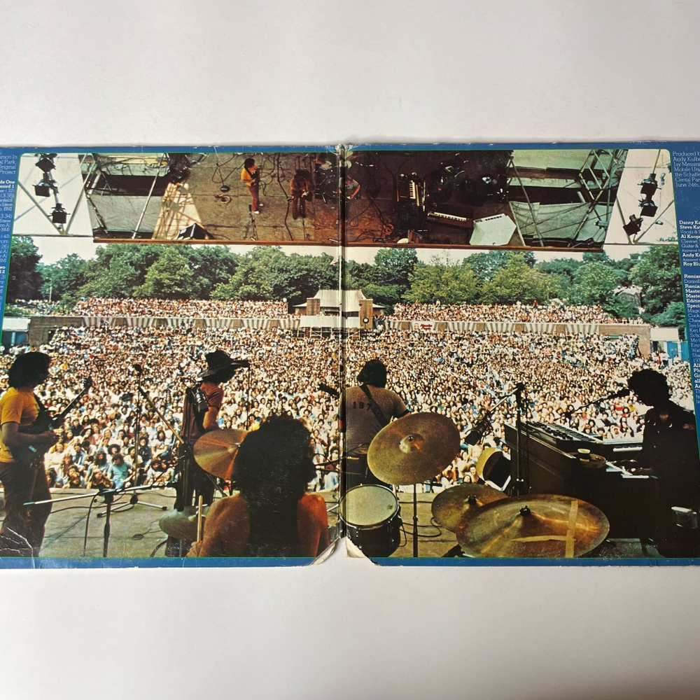 Винтажная виниловая пластинка LP The Original Blues Project Reunion In Central Park (USA 1973)