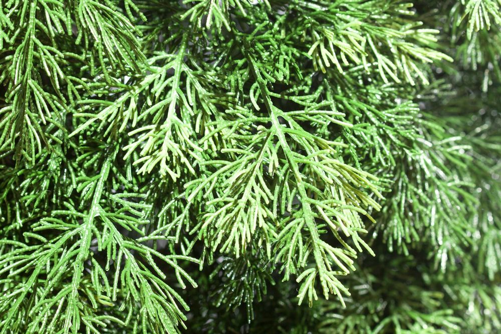 Туя искусственная (Литая хвоя) 180 см / 1,8 м