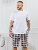 Шорты мужские Тор-2.1 Виотекс КЛЕТКА РАЗНОЦВЕТНАЯ