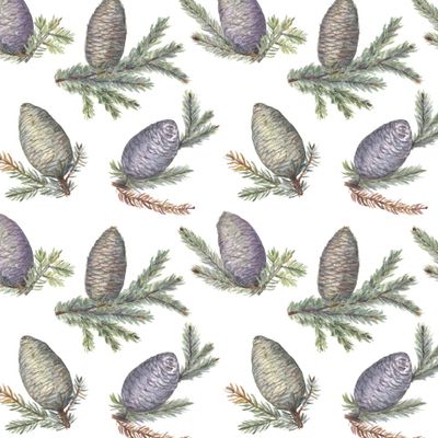 Шишки из летнего леса