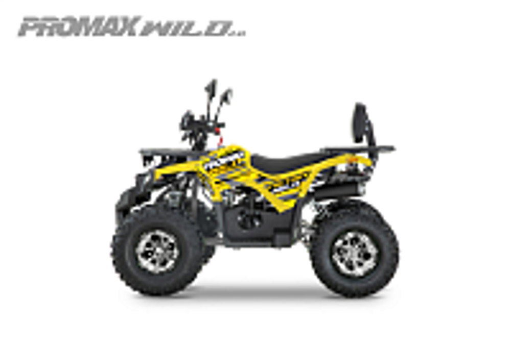 Квадроцикл PROMAX WILD 2.0 190 PRO (2025)