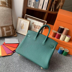 Hermes Birkin 25