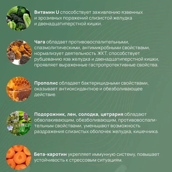 Гастрокалм Макси