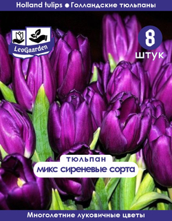 Луковичные цветы, Микс сиреневых сортов, 8 шт
