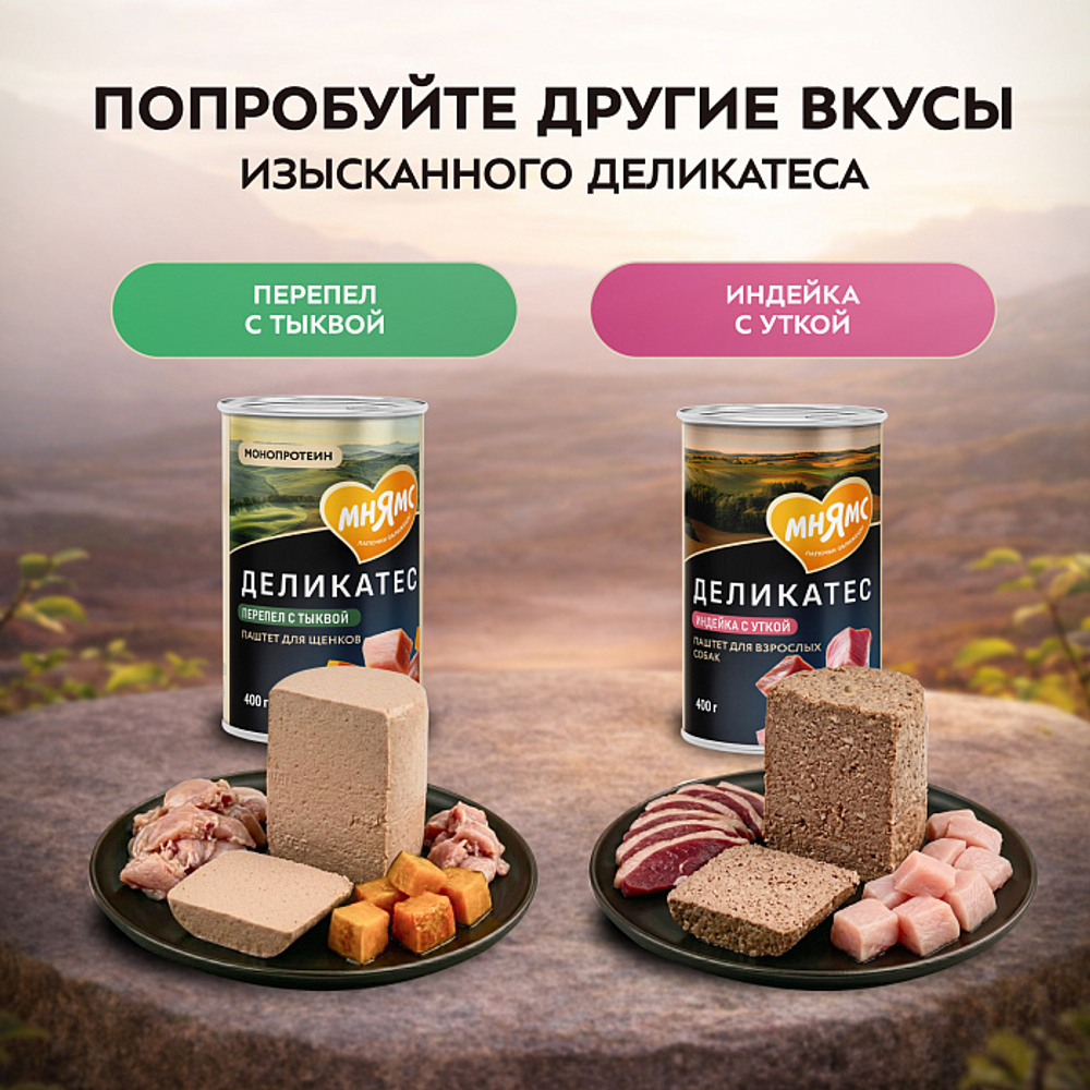 Влажный корм консервы для собак всех пород Деликатес "Фегато по-венециански" паштет из телятины с печенью Мнямс 0,4кг 12 шт