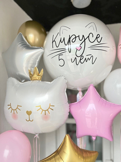 Воздушные шары Кошечка №642