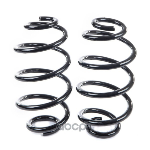 Пружина задн. подвес. Nissan Qashqai (2002/2007) (GANZ)