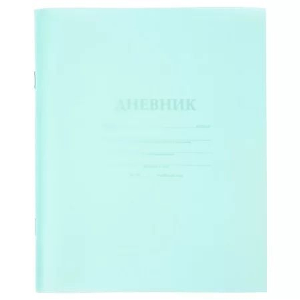 Дневник универсальн. пласт. обл. "Бирюза" 40 л.