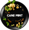Black Burn - Cane Mint (25г)