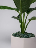 Дренаж для цветов и растений микс зелёный