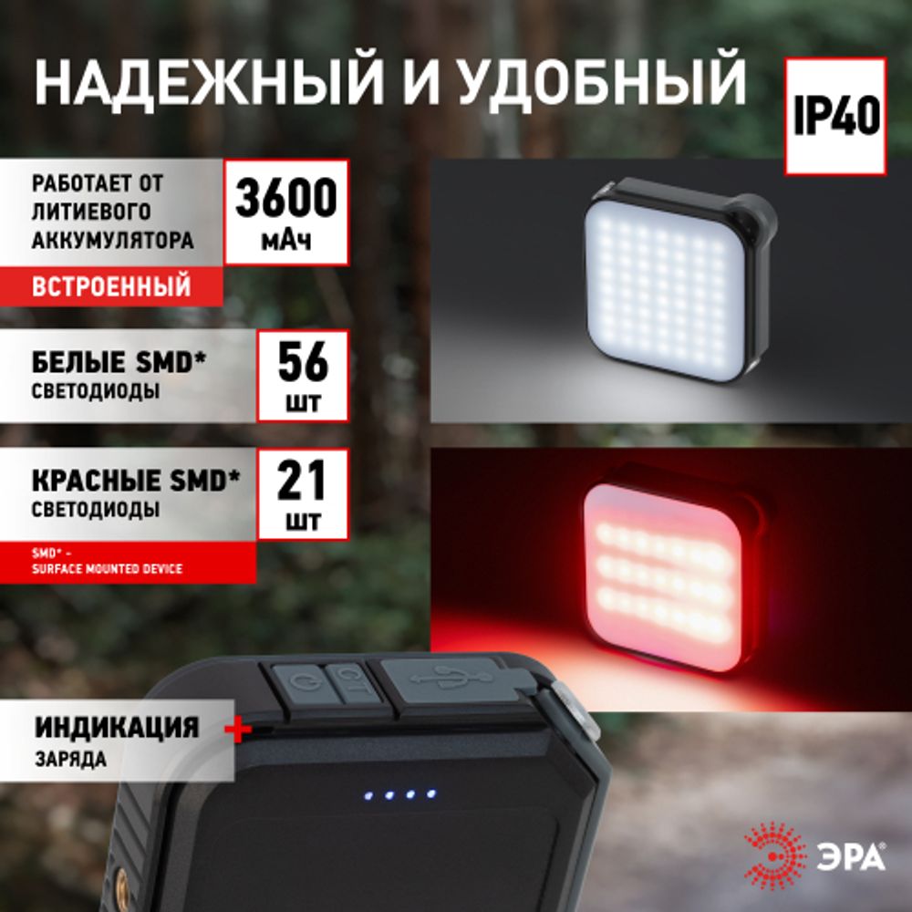 Светодиодный фонарь ЭРА PA-807 прожектор 10 Вт SMD, литий 3600 мАч, Type-C, powerbank | Прожекторные фонари