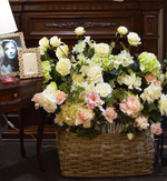 Роза кустовая на стебле