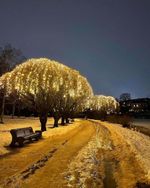 уличные гирлянды для деревьев -занавес