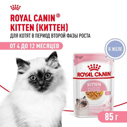 Royal Canin Kitten консервированный корм для котят в возрасте до 12 месяцев в желе 85г