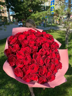 Букет 50 красных роз Эквадор 70см в пленке