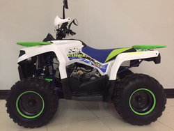 MOTAX ATV Grizlik 200 NEW