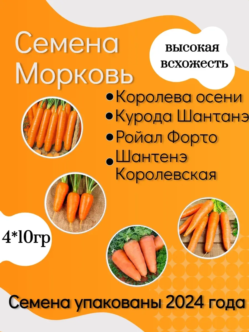 Семена Морковь