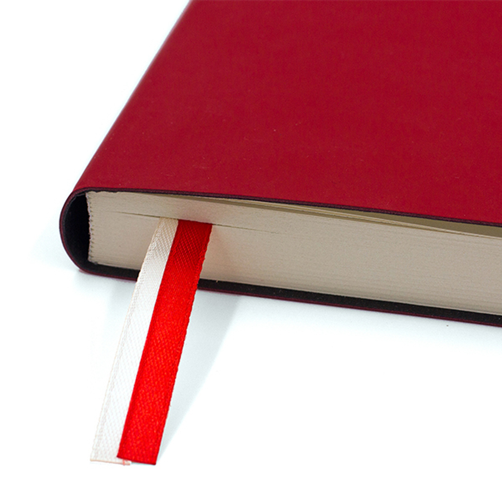 НОВИНКА! Бизнес-тетрадь А4 в клетку BIG BOSS red, 128 листов, гибкая обложка - красный Softtach