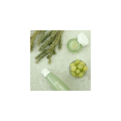Frudia Green Grape - увлажняющий крем-гель для сужения пор /   10  g  / GTIN 8803348035114