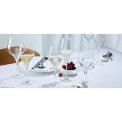 Бокал для вина 630 мл хр. стекло Finesse d 9,8 см h26 см Schott Zwiesel [6]
