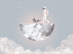 Коллекция COSMOS25