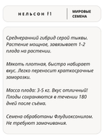 Семена тыквы Нельсон F1 для посадки, 3 семян (Vita Green / Вита Грин)