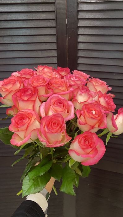 Букет из 15 голландских роз 80 см ( цвет на роз на выбор ) #77504