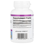 Natural Factors, Stress-Relax®, Pharma GABA®, 250 мг, 60 вегетарианских капсул