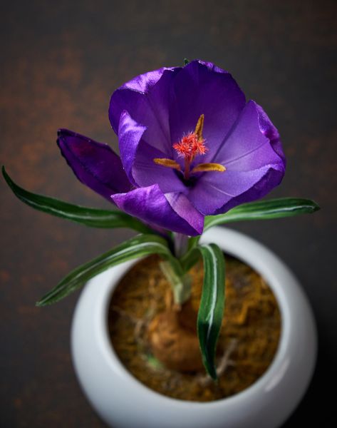 Сороковой очный мастер-класс Silk Blossom: когда расцветает крокус.