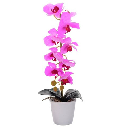 GAEM Цветочная композиция "Орхидея", L20 W20 H50 см