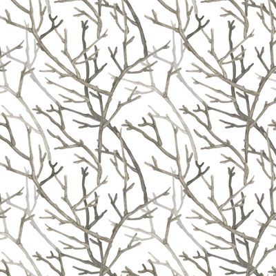 Ветки деревьев. Лес осенью.